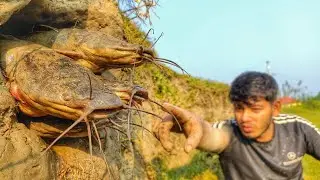 Fishing In River Dry Place | Wow Really Amazing Excellent Search & Catching Big Fish By Hand #fish