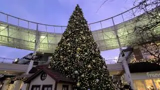 (Redmond Town Center, Washington) - Evening Walk