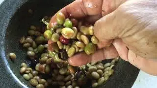 How To Hand Pulp Coffee Bean Cherries 11JUL19 API # 61