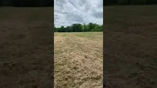 Future Coyote Location