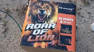 KIEDYŚ W DINO, TERAZ W MRÓWCE 💥 Wyrzutnia Roar Of Lion TXB1039 Triplex Fajerwerki