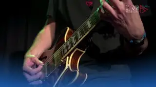 Live Session mit Terminal Decline - July