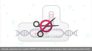 Durable CRISPR-Based Epigenetic Silencing