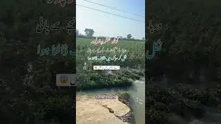 #flood #unfrezzmyaccount #sutlejflood #foryou