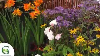 Greetham Valley at Rutland's Birdfair 2017