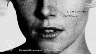The Velvet Underground & Nico - All Tomorrow's Parties  (HAPPENED IN MUSIC) - Stanley's Studio