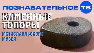 Неудобная история: Каменные топоры Мстиславльского музея (Познавательное ТВ, Артём Войтенков)