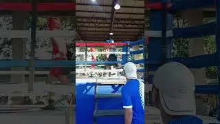 @boxingtalkphilippines929 provincial meet blue corner