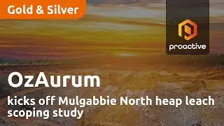 OzAurum kicks off Mulgabbie North heap leach scoping study
