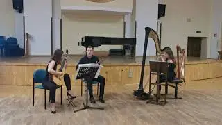 Piotr Moss - In una parte (mandolin, guitar & harp)