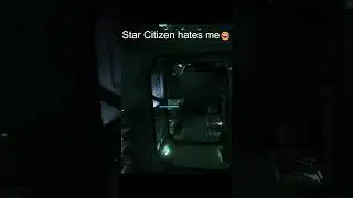 Star citizen bugs are FUN