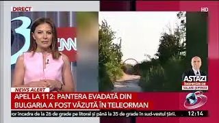 Apel la 112: Pantera evadată din Bulgaria a fost văzută în Teleorman