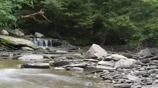 Fly Fishing Basics 101 EP. 3 Matching the Hatch in the Mountains for Wild Trout