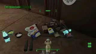 Fallout Who Regenerated Casual Fabrication Showcase