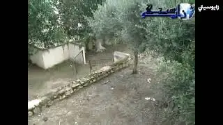 فيديو نادر لقيادة زايو القديمة  قبل 13 سنة