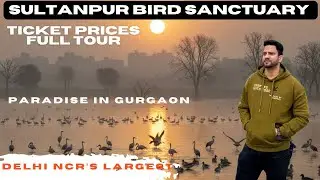 Sultanpur National Park | Ticket Prices | Full Tour
