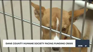 Dane County Humane Society facing funding crisis