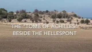 The 