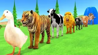 Colour full animals colour fountain, Gorilla, tiger,lion #cartoon #animaladventure #cartoonvideo