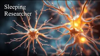 The Hidden Network of the Human Body: Bioelectric Communication | Science for Sleep