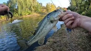 Textbook Suburban Pond Hopping