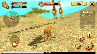 Wild Cheetah Sim 3D Android Gameplay HD
