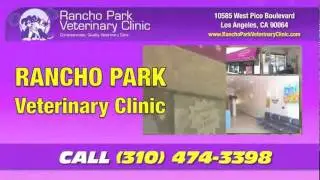 West Los Angeles Veterinarian Animal Hospital.wmv