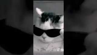 foto profil keren menurut gua