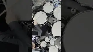 Bucket o'Fish 10 #tutorial #drummer #grooves #drums #drum #cover #drumcover #beats #cover #coversong