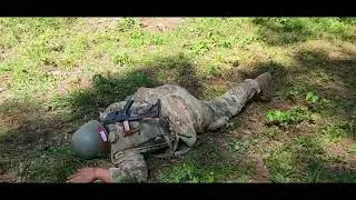 1st PLT 