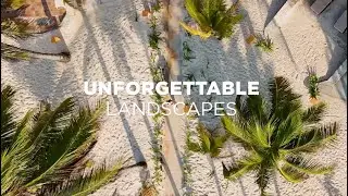 Exclusive benefits at Grand Oasis Tulum Riviera!