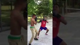 Baton Rouge fights