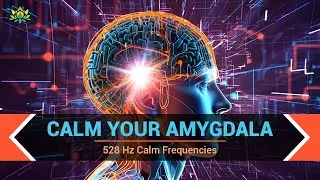 Calm Your Amygdala - Relieve Anxiety, Panic & Emotional Trauma - 528 Hz Calm Frequencies