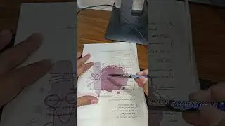 مراجعه ماده قواعد البيانات مع ذكر اهم التفاصيل المتطوره هرم فرقه تالته نظم المعلومات