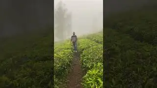 Ooty in Winters #shorts #winter #ooty #hills #pahadi