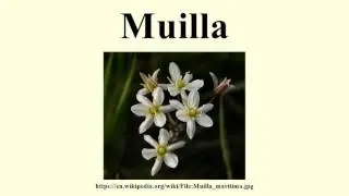 Muilla