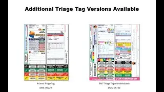 All Risk&reg; Triage Tags by Disaster Management Systems Available for both START and SALT Triage