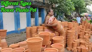 Different Types Of Soil Pots For Flower Plants & Their Prices At Galiff Street Flower Plants Market
