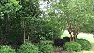 Lot on 5129 Glen Forrest, Flowery Branch, 30542 GA. $50,000