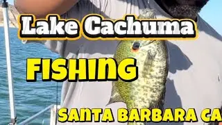 Lake Cachuma fishing , Santa Barbara ca . We caught multiple species of fish ! 