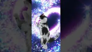 [Doall] Groovy 3D Cat Dancing to Heartbeat Rhythms❤️&zwj;🔥