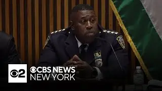 Former NYPD chief of department has his home searched amid investigation