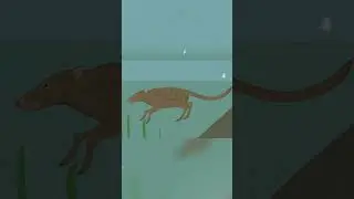 Indohyus evolution: The Tiny Ancestor of the Blue Whale  | Erudite Octopus  #shorts