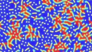 reaction diffusion experiment pr test 05 prs 112   exploding lines