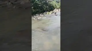 cari pasir buat benahi jalan gaess..!