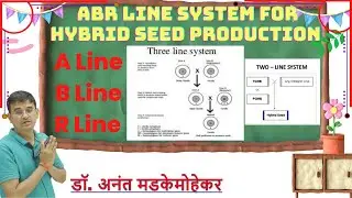 A B R line for hybrid seed production | Three line system | Two line system | one line system