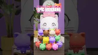 EPIC MUKBANG : From Small To Giant Cat Candy #funny #mukbang