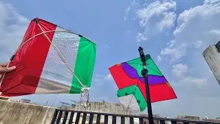 Kite looting on roof | kite catching new video | Patang looti | Kite |