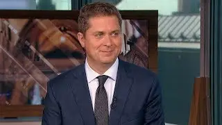 Conservative Leader Scheer slams Liberal MP's ethics violation: 