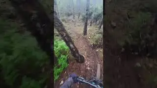 La Caixa - Endumora